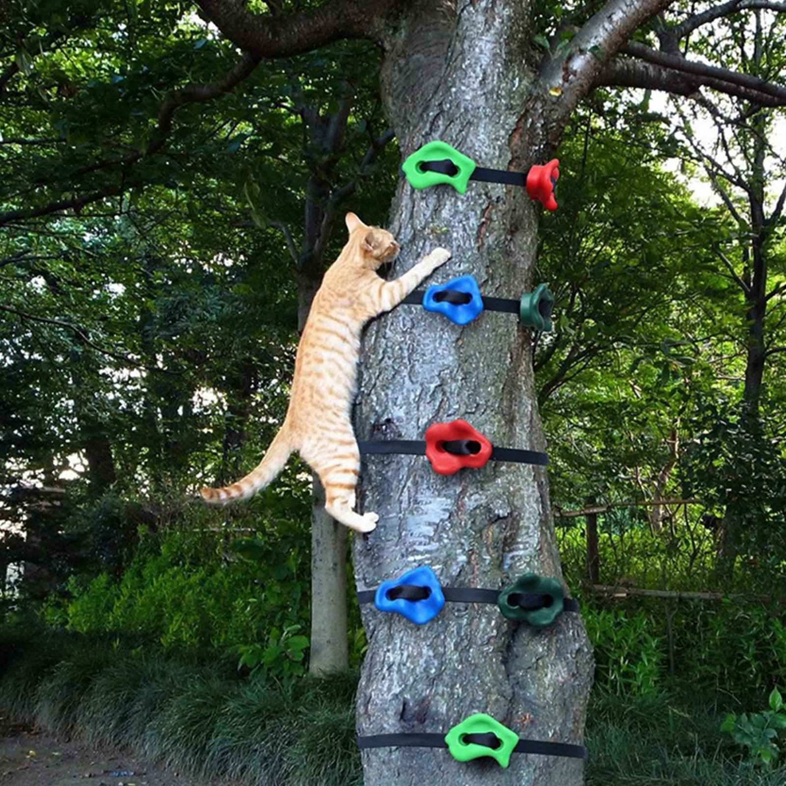 Tree Climbing Equipment Adjust - Outdoor Adventure Store recension och pris