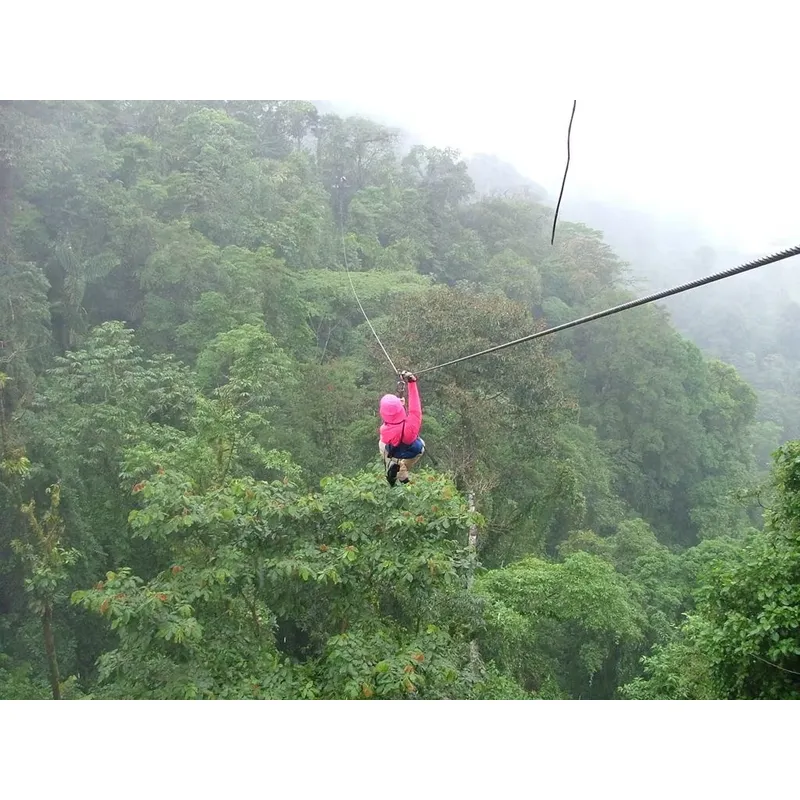 Customized Heavy Jungle Zip Li - Outdoor Adventure Zipline recension och pris